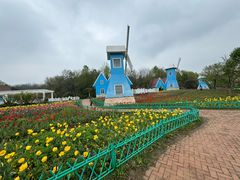 -宜兴龙背山森林公园