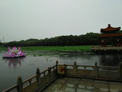 -南戴河国际娱乐中心