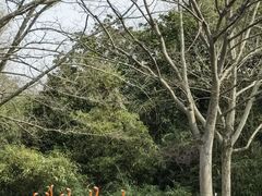 -上海野生动物园