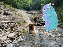 -孤山寨风景区