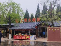 -大槐树寻根祭祖园