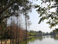 -华南国家植物园-售票处