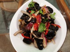 -春满园生态餐厅(南宫路店)