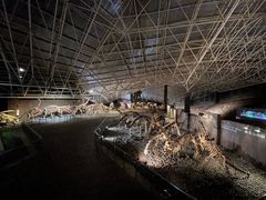 -世界恐龙谷景区