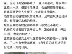 -百万葵园