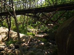 -云岫谷游猎自然风景区