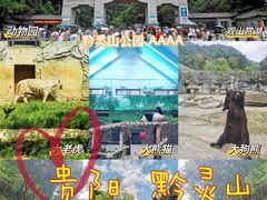 -黔灵山公园