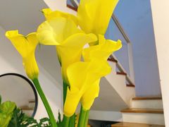 -森野花艺培训·企业团建活动沙龙