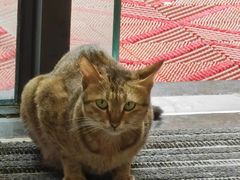 -德克士(呀诺达店)