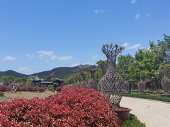 -博山九龙峪风景区