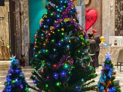 -弘安丽水温泉酒店