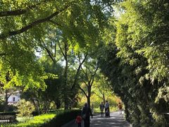 -丰台花园