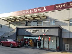 -雪莲品牌工厂店