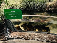 -中国湿地博物馆