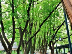 -白马涧龙池景区