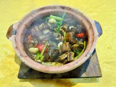 啫啫黄鳝-天宝食坊·啫啫煲大排档(西华路店)