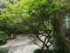 包房-十八棵（老龙井）御茶园(老龙井店)
