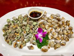 白灼血蚶拼苦螺-富黎华海鲜大酒楼(正大广场店)