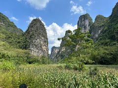 -明仕田园