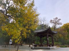 -元大都城垣遗址公园