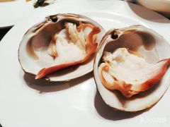 -青蓬蒸汽海鲜·深圳老字号·团建聚会(壹方城店)