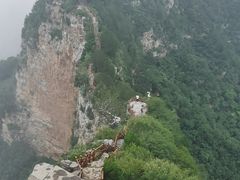-神农山景区