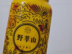 -野萃山·潮汕厚果汁(十亩地店)