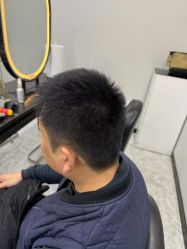 -YESIDO椰岛造型