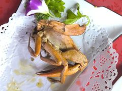 -友强·22年特色海鲜大排档·闽菜(厦门美食地标店)