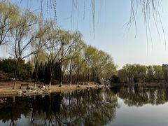 -东升八家郊野公园