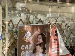 -猫咪派对(江南西店)