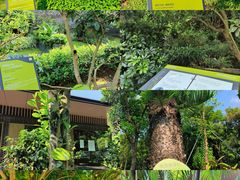 -云溪植物园