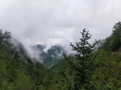 -牛背梁国家森林公园