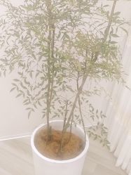 -HEYAN荷妍专业脱毛连锁机构
