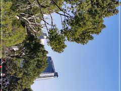 -黄兴公园