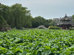-莲池书院博物馆