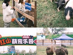 -红山体育乐园
