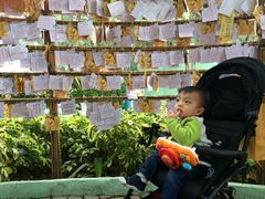 -龙环葡韵住宅式博物馆