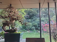 -云溪植物园