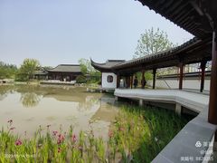 -上海滨江森林公园