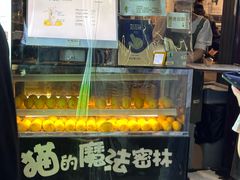 -猫的魔法密林(衣裳街店)
