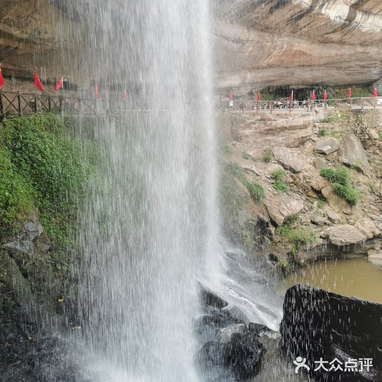 带父母去，结果踩雷哒！