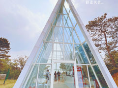 -南丹山森林王国