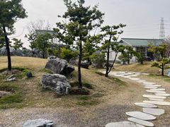 -王借岗森林公园