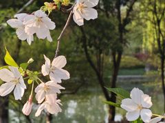 -中国湿地博物馆
