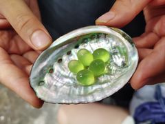 -初色海鲜自助(万丰路店)