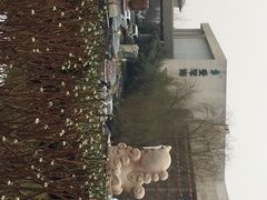 华清爱琴海国际温泉酒店-长安先导国际创新人才交流中心