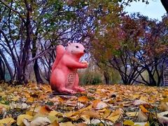 -长春公园(普阳街道)