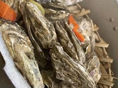 -蚝山·喷汽火山生蚝(前福路店)