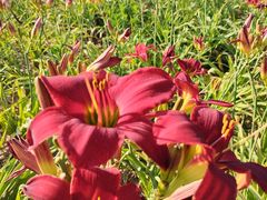 -汉长安城未央宫国家考古遗址公园